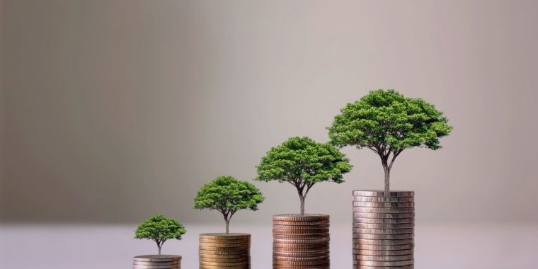 Image of different sized piles of coins with a tree growing out of each one